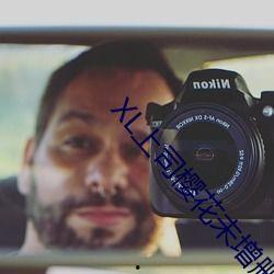 国产母频在线,国产母频技术引领行业发展新篇章