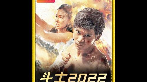 国产动作大片在线看,燃情演绎家国情怀