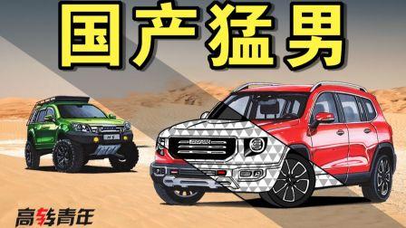 国产H人视频在线观看