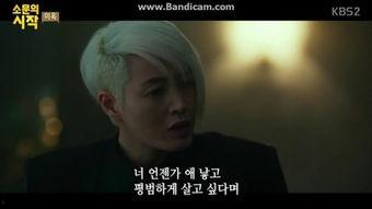 国产剧情对白在线hs,一场视觉与听觉的盛宴