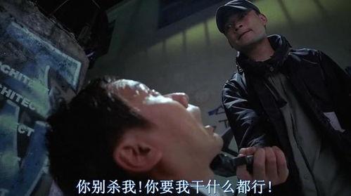 国产电影富婆金品在线,财富与情感的交织传奇